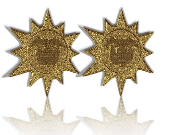 Brigadier General - Ejército Nacional de Colombia