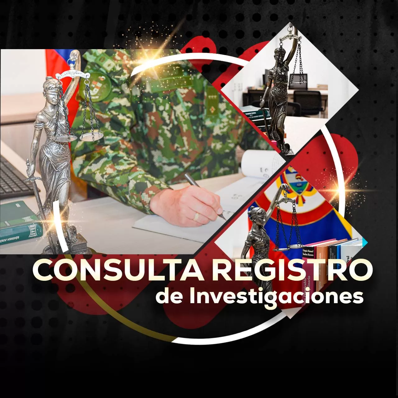 Consulta Registro de Investigaciones
