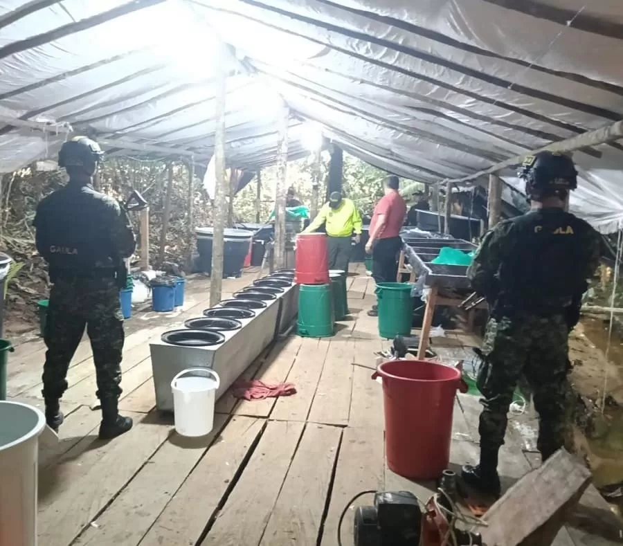 Destruido laboratorio de clorhidrato de cocaína que producía media tonelada de estupefaciente al mes