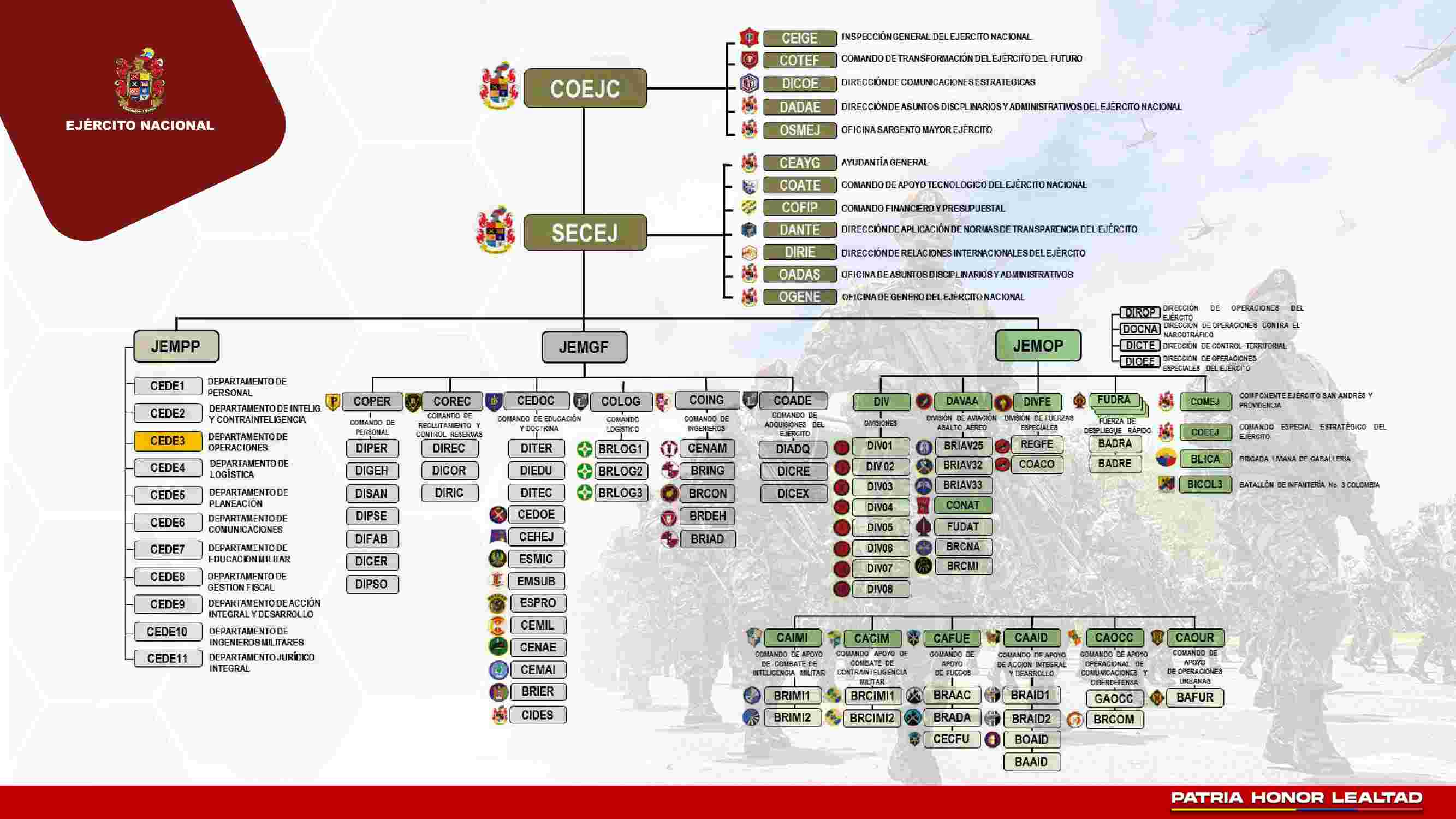 Organigrama