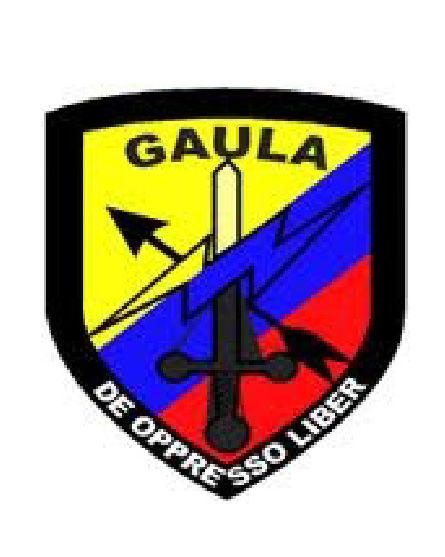 GRUPO GAULA CASANARE
