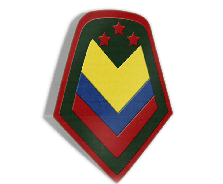Sargento Mayor de Comando