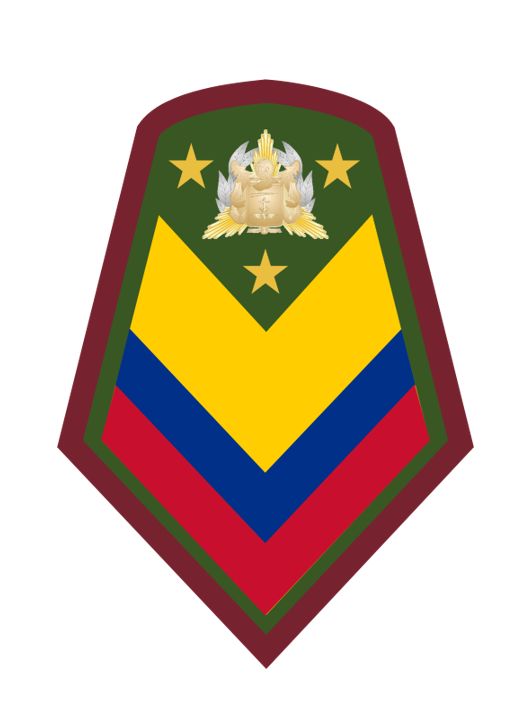 Sargento Mayor de Comando Conjunto