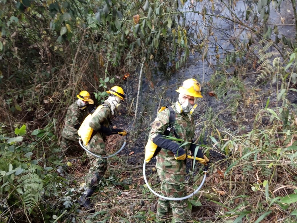Continúan las alertas en todo el país por incendios forestales