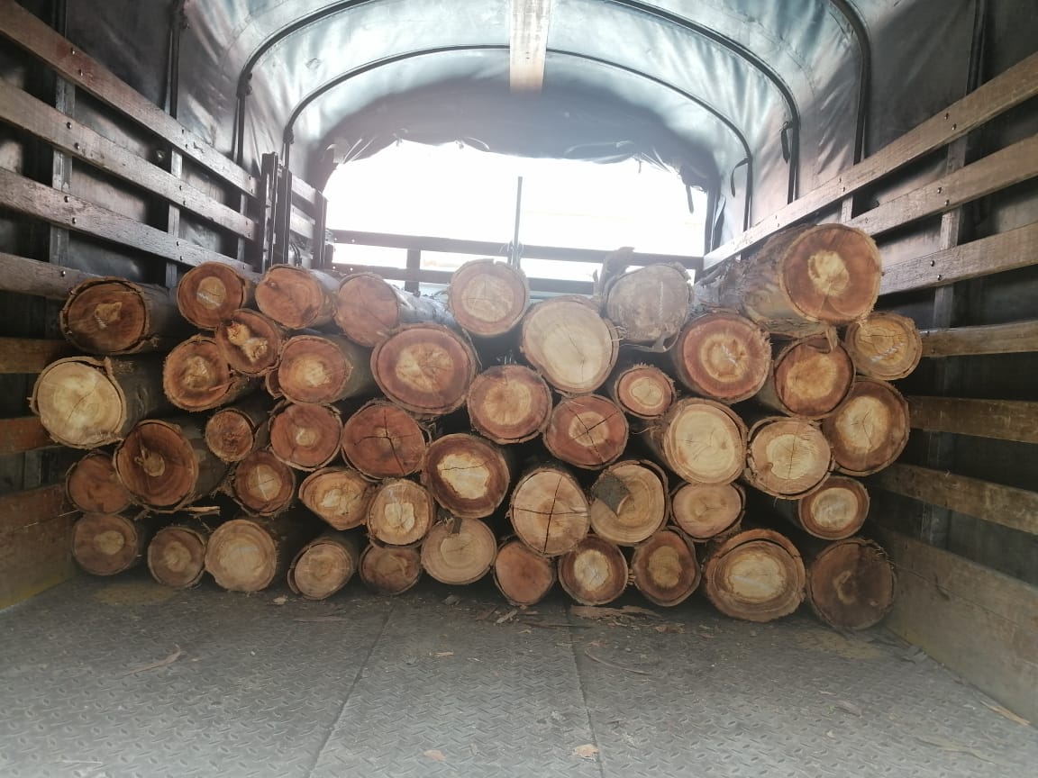 Incautada madera en Chiquinquirá
