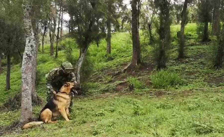 Ejército Nacional destruye dos artefactos explosivos improvisados en Norte de Santander