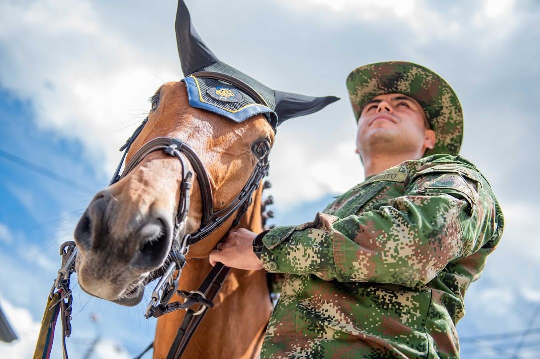 El Ejército cuida, produce y entrena ejemplarmente caballos para las áreas de operaciones y el deporte