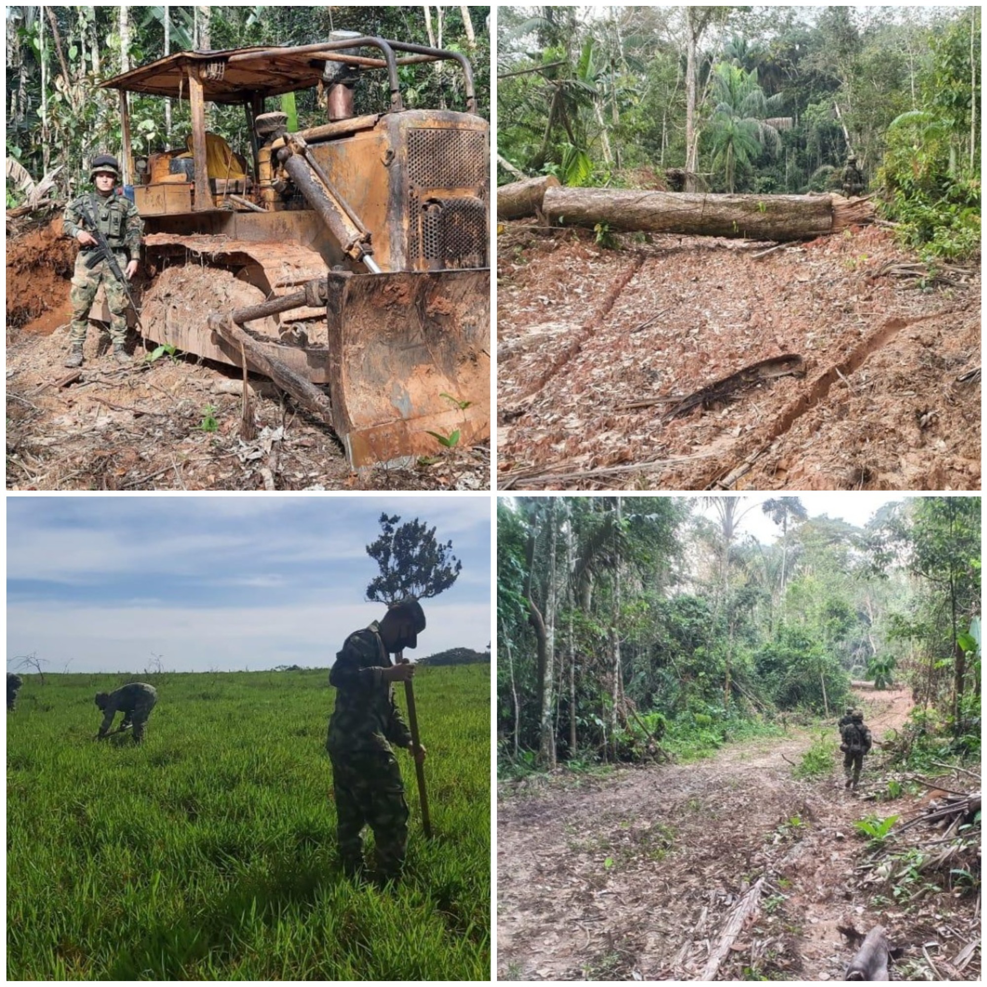 Operación Artemisa, seguridad y protección al medio ambiente en el Meta