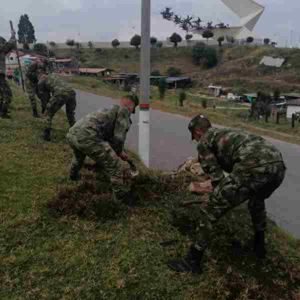 Ejército Nacional apoya siembra de plantas nativas en el Pantano de Vargas