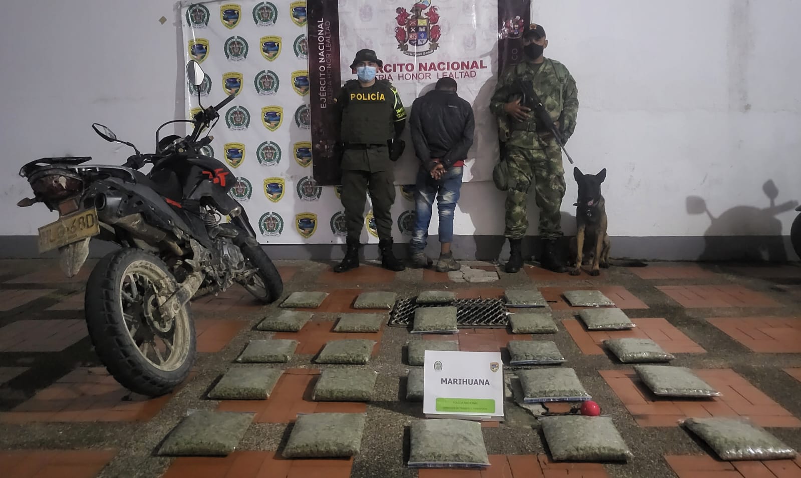 Thor, canino antinarcóticos permitió incautación de 16 kilos de marihuana Cripy