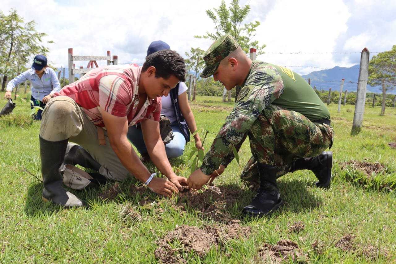 Mil árboles fueron sembrados por hombres del Ejército Nacional en el sur del Tolima