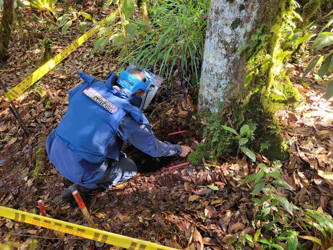 Dos minas antipersonal destruidas en labores de desminado humanitario