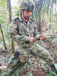 Destruido artefacto explosivo improvisado en Mapiripán, Meta