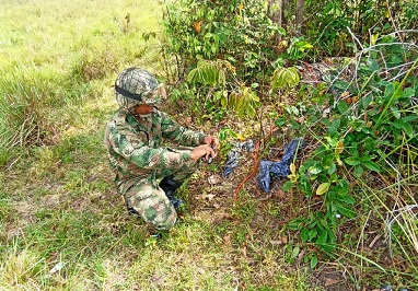 Ejército Nacional desactiva cinco áreas minadas con más de 37 artefactos explosivos en Arauca