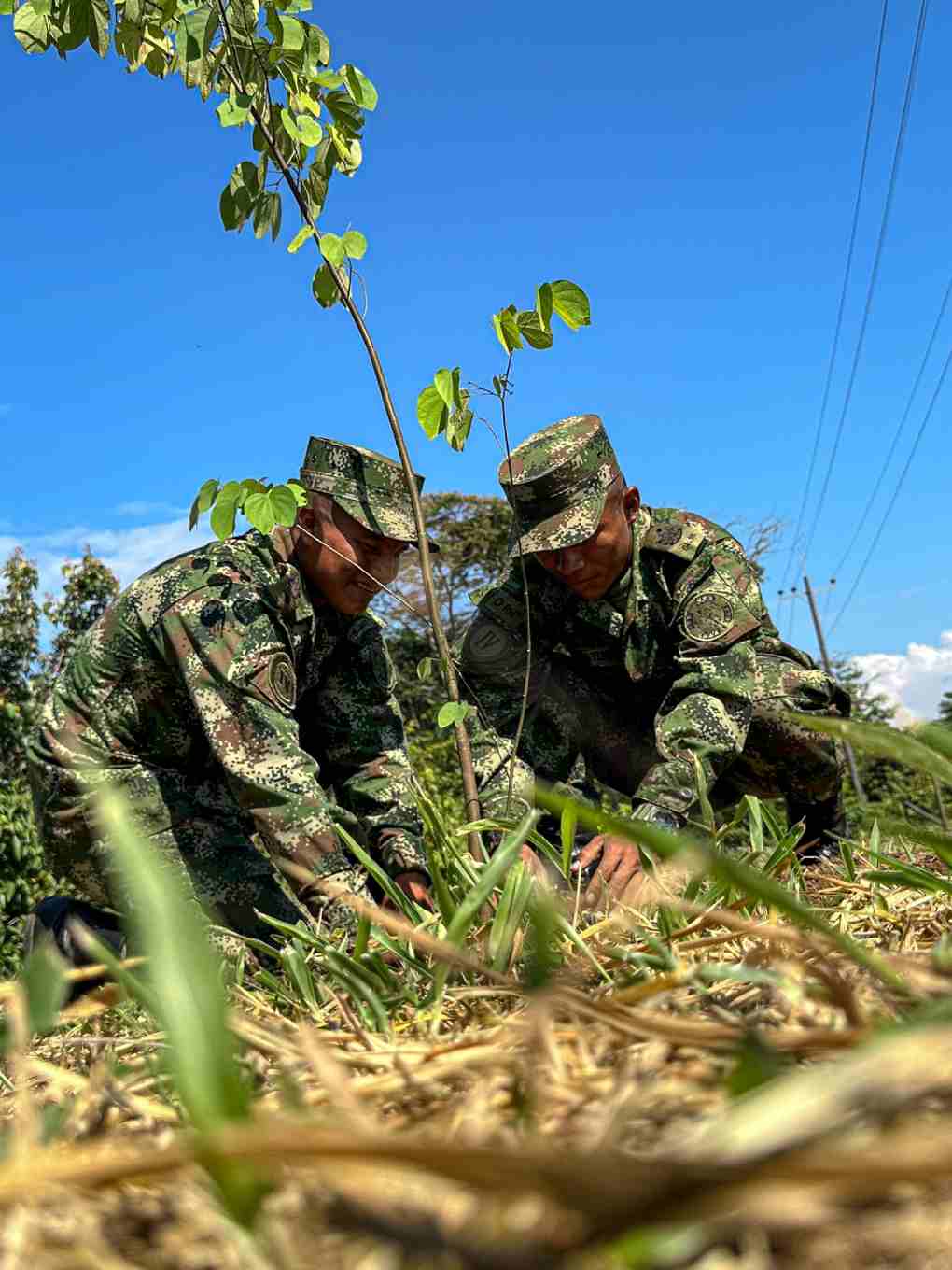 Soldados indígenas del Vaupés aportan su conocimiento ancestral en la salvaguarda del medio ambiente en el Meta