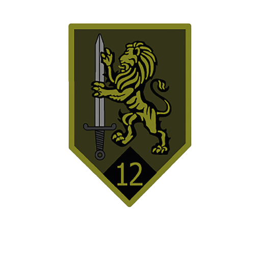 EL BATALLÓN DE INFANTERÍA Nº12 ?BG. ALFONSO MANOSALVA FLÓREZ?