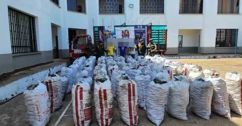 83 bultos de carbón vegetal fueron incautados en el Guaviare