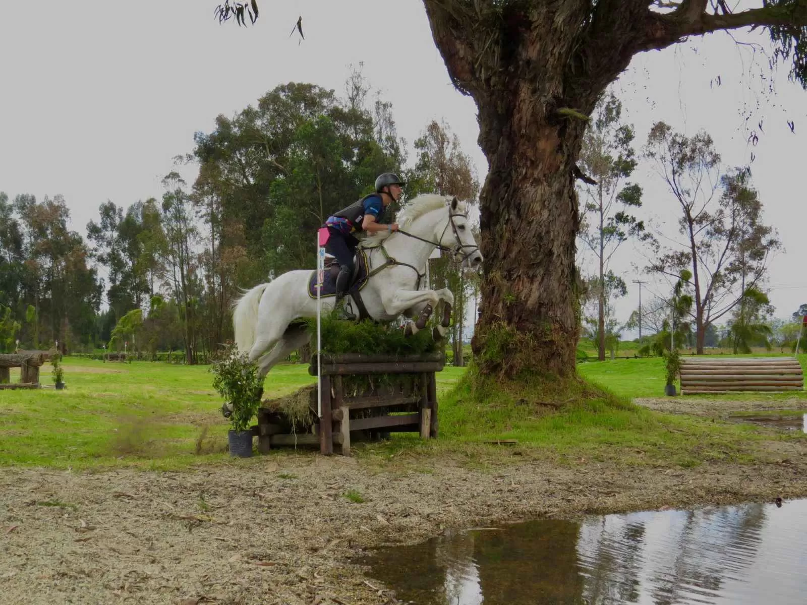 Binomio equino del Grupo Silva Plazas del Ejército Nacional representa a Colombia en eventos internacionales