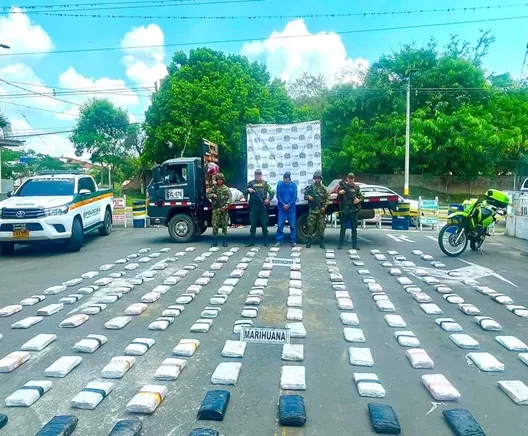 Lucha contra el narcotráfico: más de una tonelada de marihuana incautada en el último mes en el Valle del Cauca