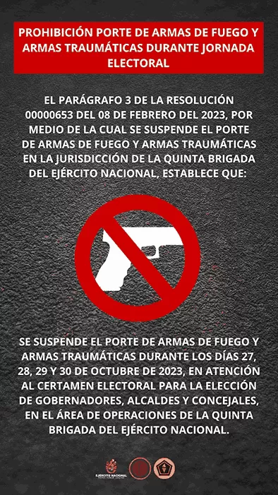 Se prohíbe el porte de armas de fuego en la región a partir del 27 de octubre, por la contienda electoral
