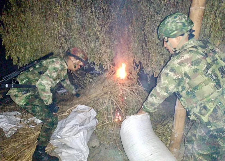 En el Cauca, tropas del Ejército han incautado cerca de seis toneladas de marihuana en los primeros días del 2024