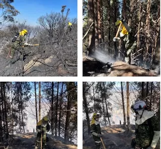 La Brigada de Ingenieros de Atención y Prevención de Desastres trabaja de manera incansable para extinguir el incendio que se presenta en los Cerros Orientales de la Ciudad de Bogotá