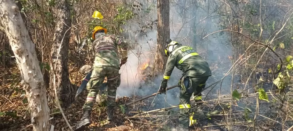El Ejército Nacional apoya los trabajos de mitigación de incendios forestales en el Cesar