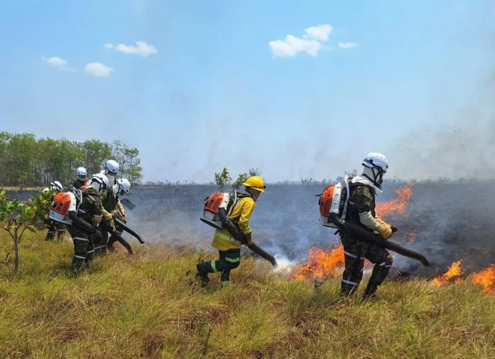 Ejército Nacional despliega capacidades para intervenir incendio de gran magnitud en Vichada