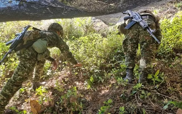 Ejército Nacional continúa adelantando acciones contra el narcotráfico en Hacarí y La Playa de Belén, Norte de Santander