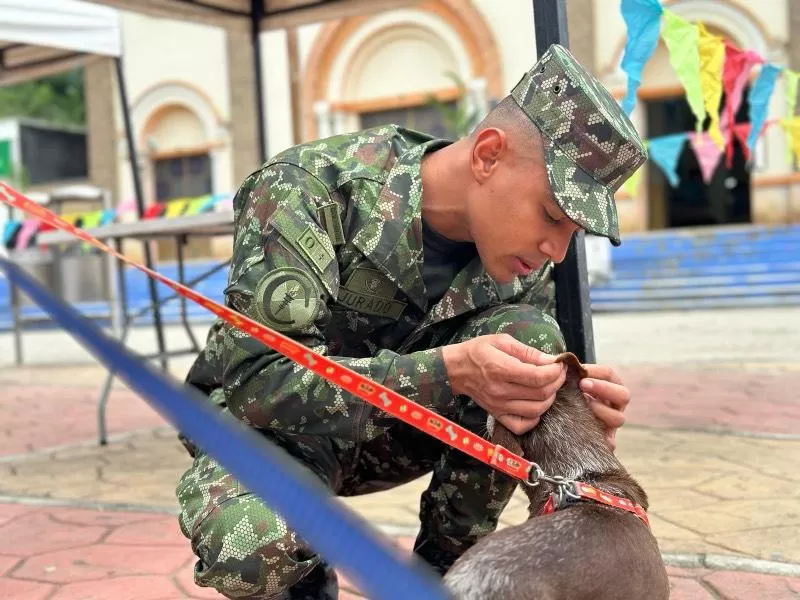 Jornada de sensibilización canina y felina en Ubaqué: Un compromiso con el bienestar animal