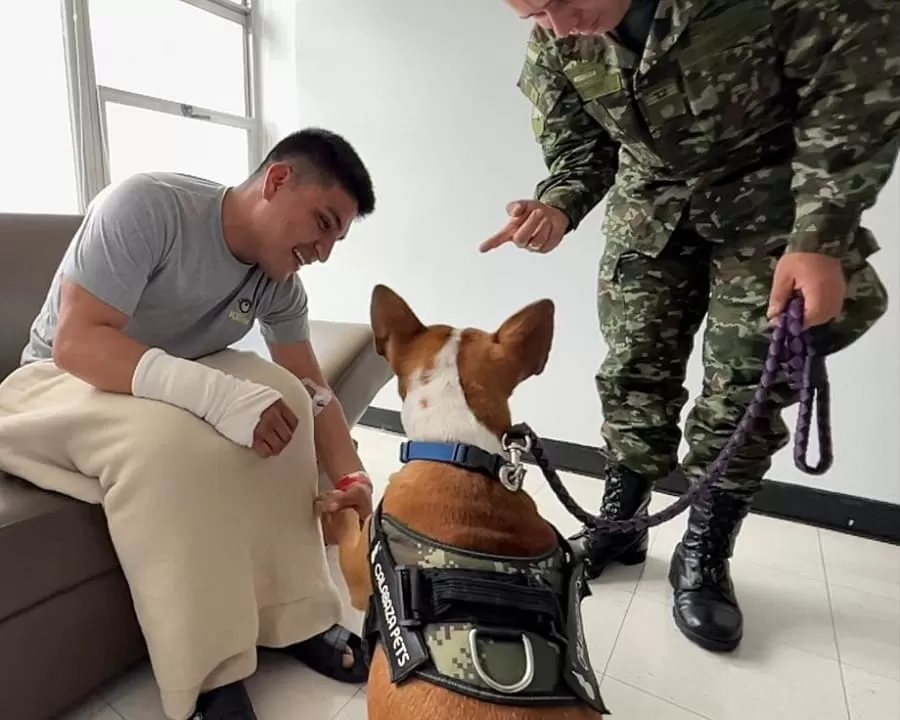 Fuerza Peluda, una grata compañía para nuestros militares heridos