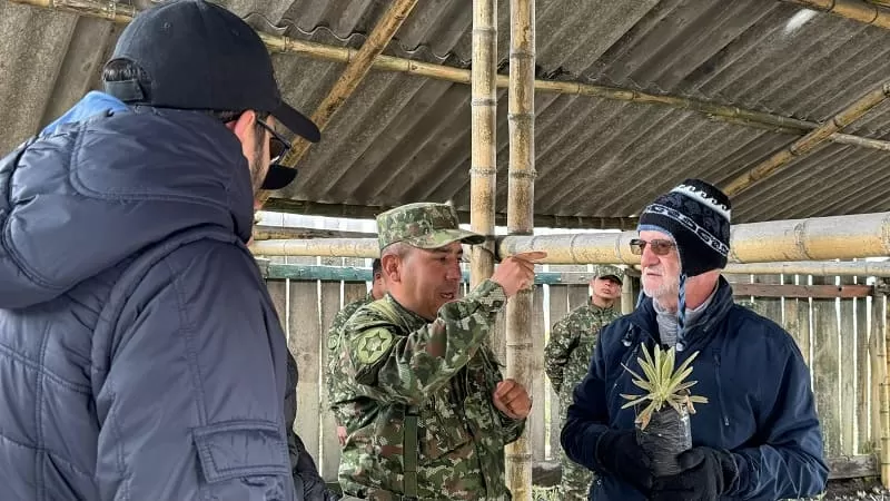 Ejército contribuye a que cerca de 50 mil ciudadanos del Eje Cafetero obtengan agua con la siembra de frailejones