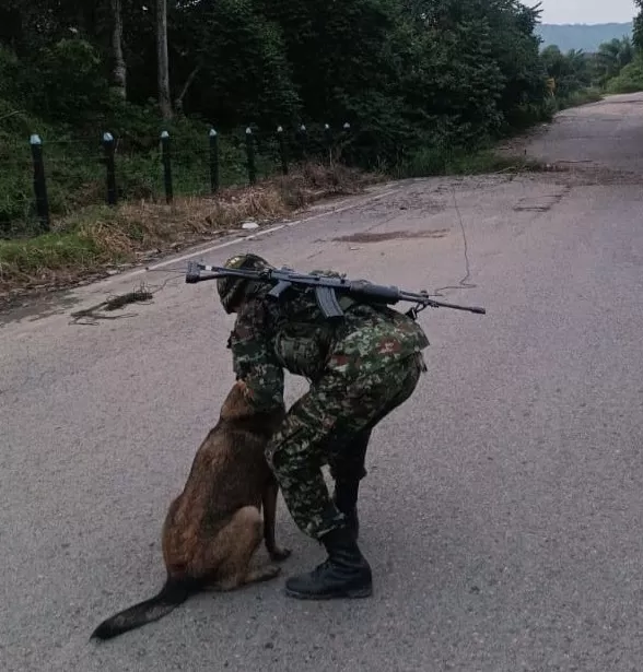 Ejército Nacional neutralizó acción terrorista del GAO ELN en la vía Cúcuta - Tibú