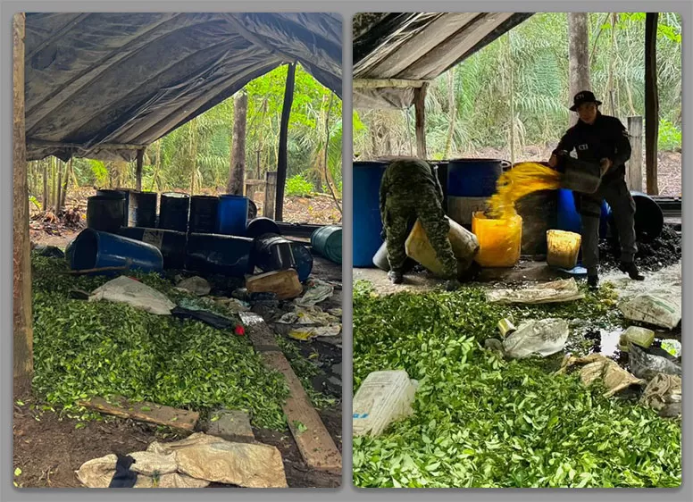 En ofensiva militar del Ejército, cuatro laboratorios de pasta base de coca fueron destruidos en el Meta