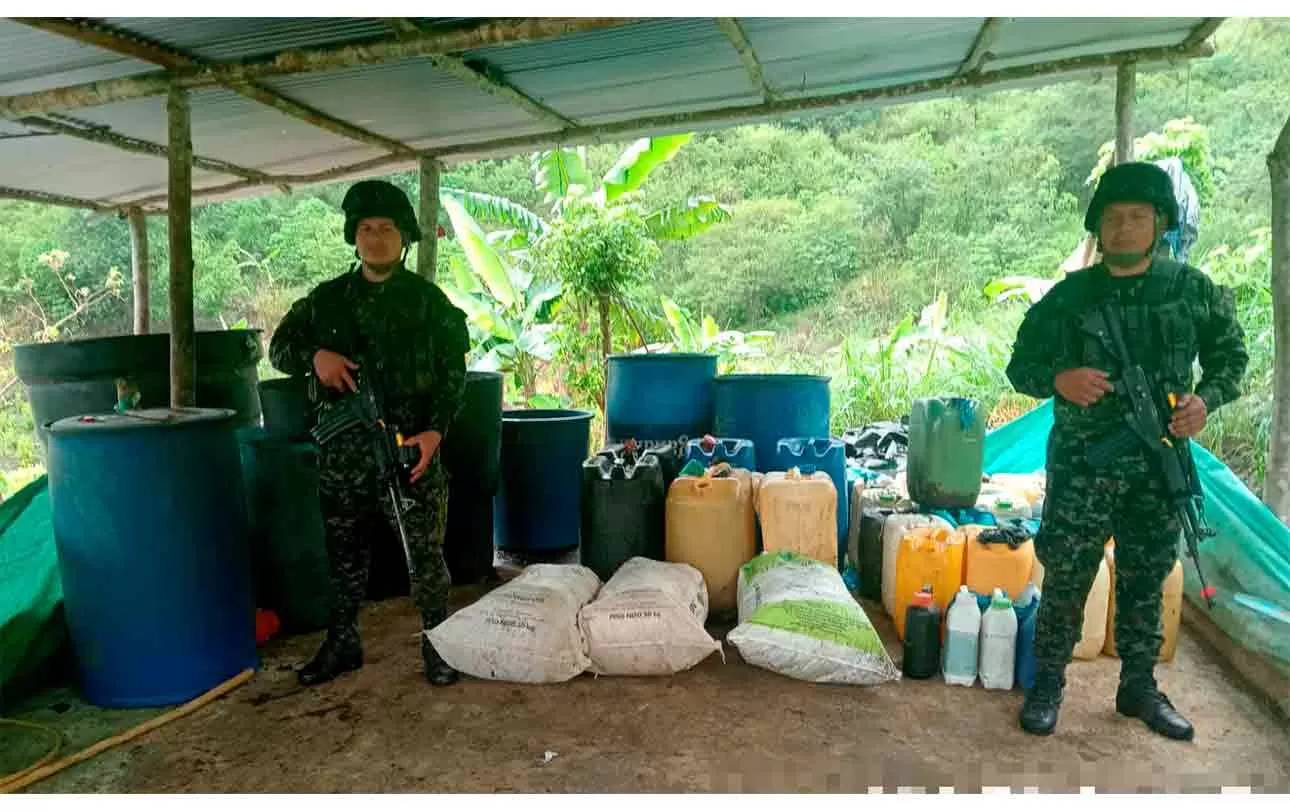 ¡Golpe al narcotráfico! Ejército Nacional desmantela laboratorio de pasta base de coca y semillero avaluados en más de 30 millones de pesos en Nariño