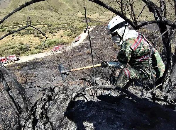 Ejército Nacional despliega sus capacidades diferenciales para atender el incendio en el Parque Natural Chingaza