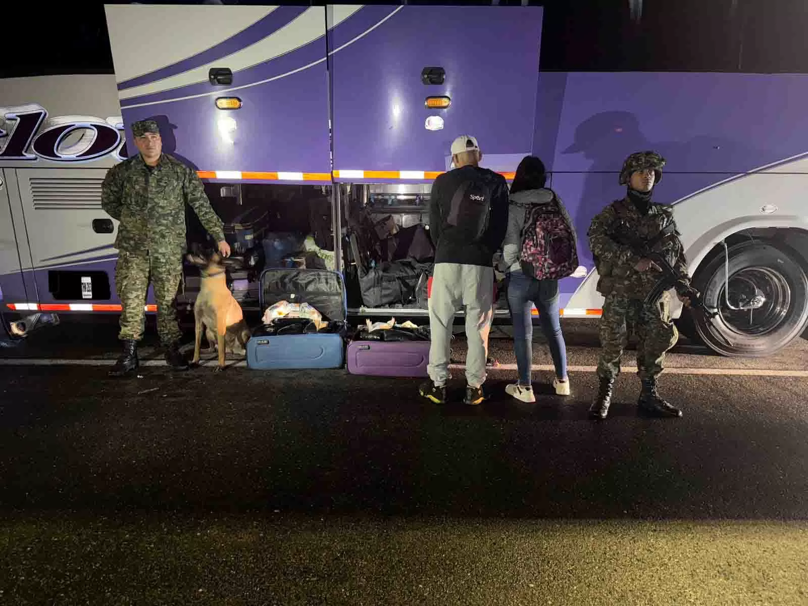 Ely, canino del Ejército Nacional, halló 53 kilogramos de marihuana en la vía La Línea, en el departamento del Quindío.