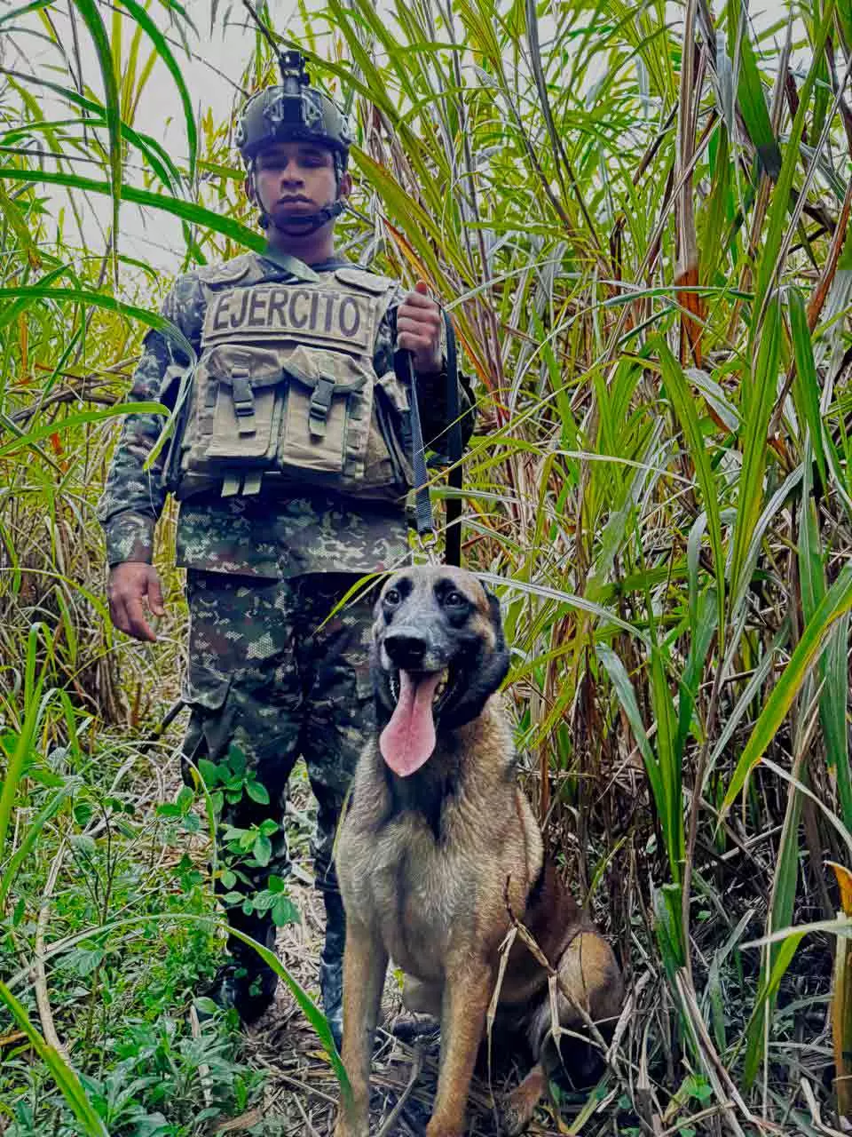 Ejército Nacional realiza el despeje de área de artefactos explosivos para la construcción del primer acueducto veredal en el Cañón del Micay, Cauca