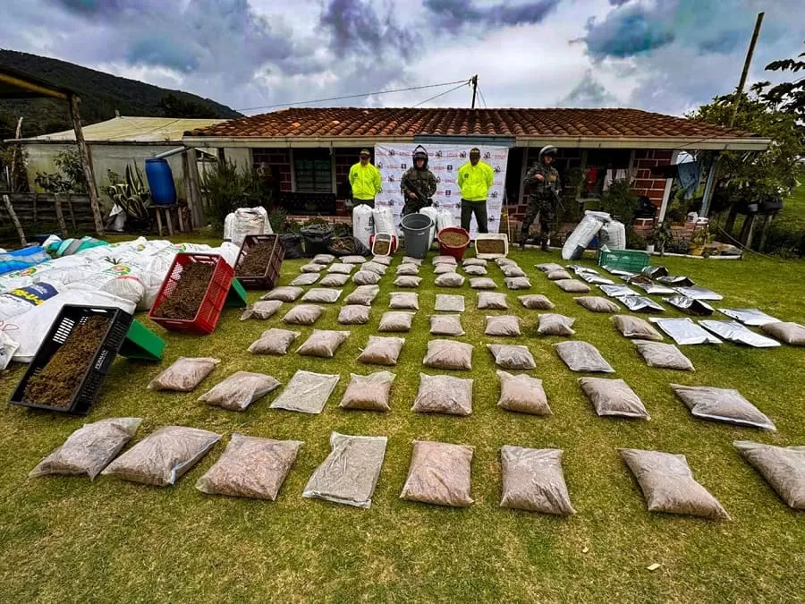 Más de media tonelada de marihuana fue incautada por elEjército Nacional en San Pedro de los Milagros, Antioquia