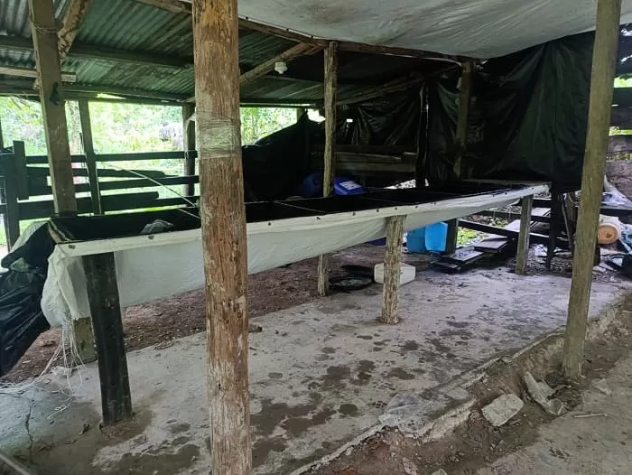 En el sur del Cesar, GAO ELN pierde ingresos de 2000 millones de pesos tras la destrucción de un laboratorio de clorhidrato de cocaína