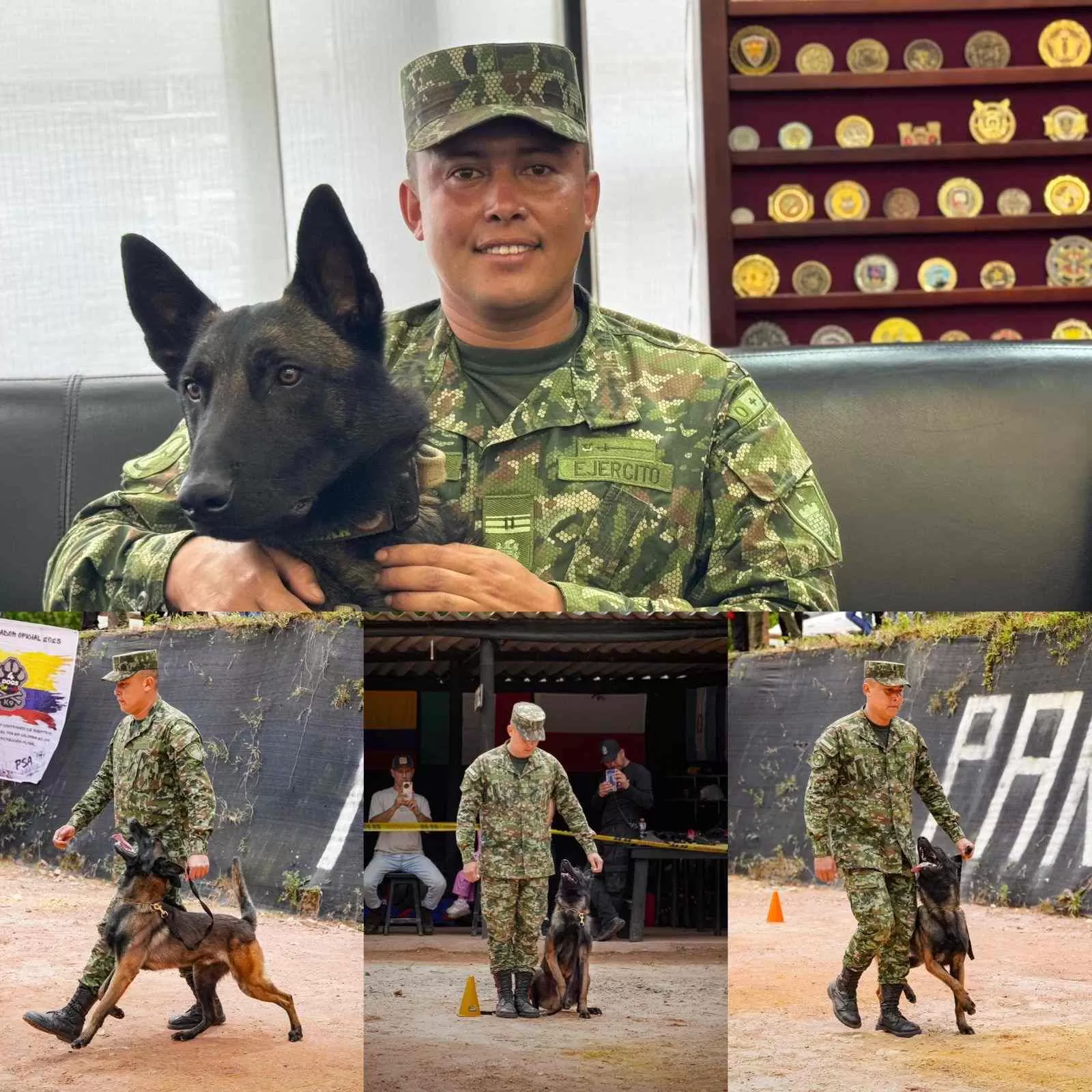 Escuela de Ingenieros Militares lidera en pruebas tácticas caninas a nivel internacional
