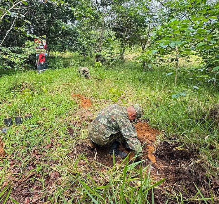 Ejército Nacional lidera jornada de siembra de 2000 plántulas en Miraflores, Guaviare
