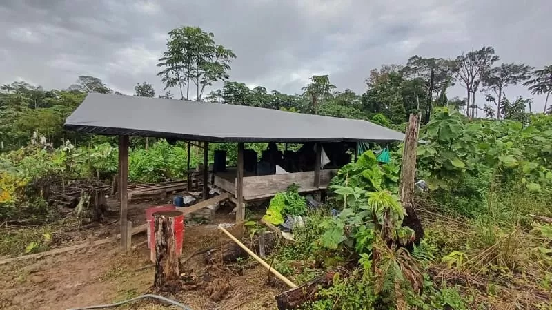 Ejército Nacional desmantela cinco laboratorios de cocaína en el Putumayo y asesta golpe de más de 529 millones de pesos al narcotráfico