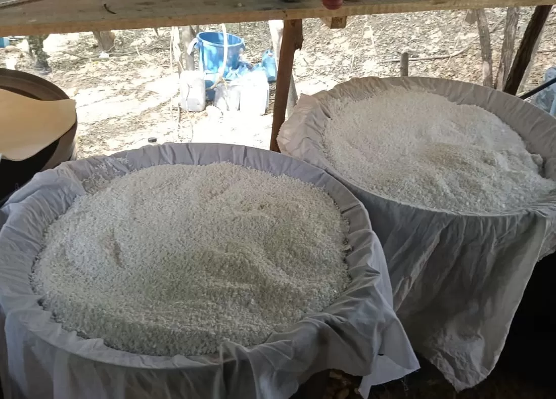 Ejército Nacional desmantela laboratorio de procesamiento de clorhidrato de cocaína al servicio del GAO ELN en Norte de Santander