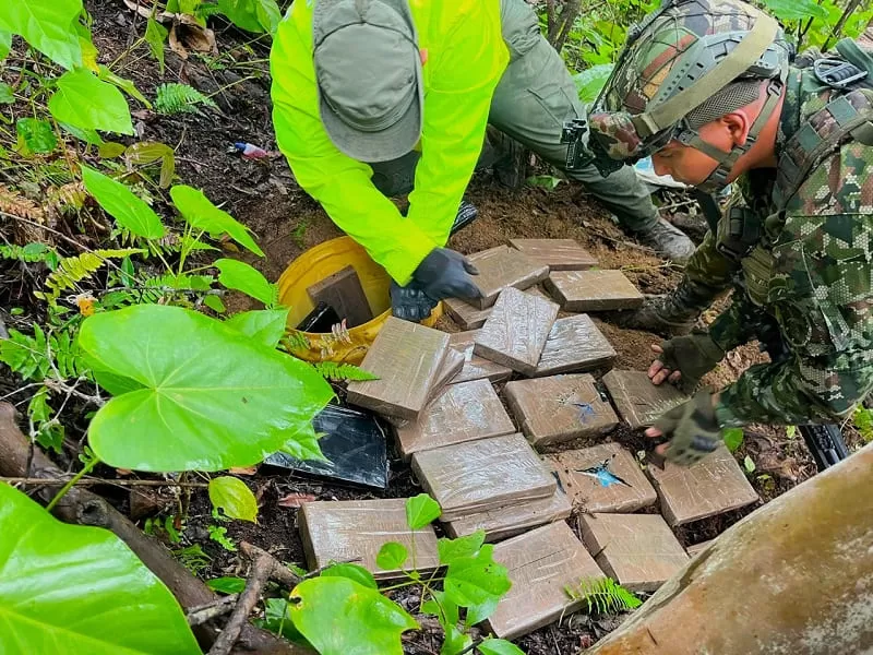 Ejército Nacional  mantiene su ofensiva contra el narcotráfico en Norte de Santander
