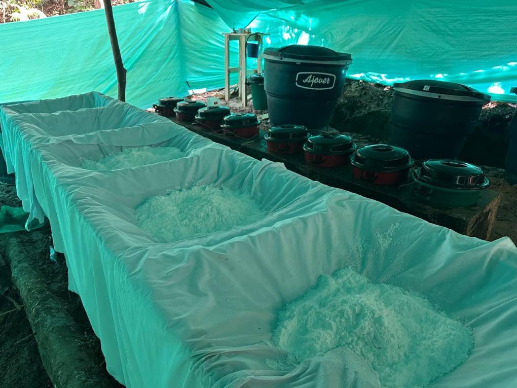El Ejército Nacional evitó la comercialización de más de un millón de dosis de cocaína en los Estados Unidos