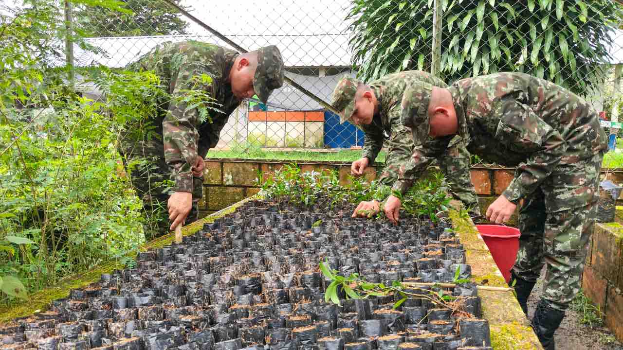 Ejército Nacional y Secretaría de Ambiente fortalecen el vivero de Florencia para producir 10.000 plántulas