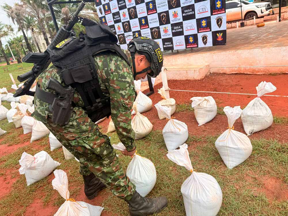 Ejército Nacional incautó cinco toneladas de tierras raras en el departamento del Vichada