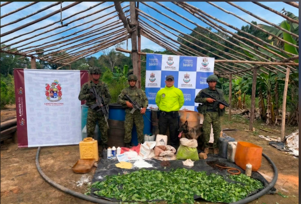 Ejército asestó duro golpe a las finanzas del frente José Daniel Pérez, del grupo armado organizado ELN, en Vichada.