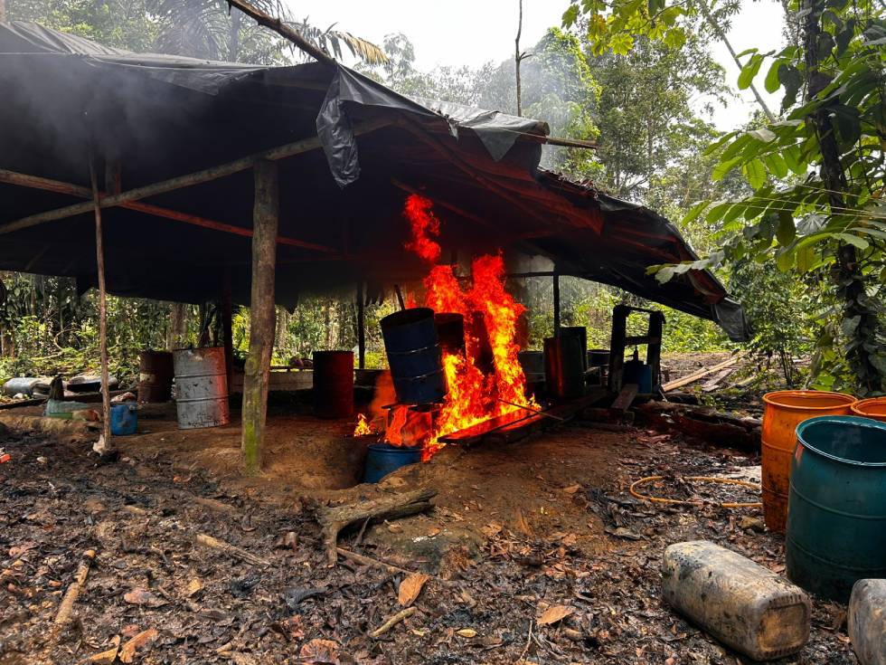 Hallados por el Ejército Nacional 14 complejos cocaleros en el Pacífico y Caribe colombiano